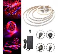 (AU Plug) DC12V 5M Non-waterproof SMD5050 R:B 3:1 Grow LED Strip Light + 5A Power Adapter + Female Connector