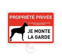 AUA SIGNALETIQUE - Panneau Signalisation Propriété Privée Attention Chien : Je Monte la Garde - 150x105 mm, Vinyl Adhésif