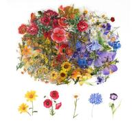 AUAUY 160Pcs Flower Stickers for Scrapbooking - Self-Adhesive Floral PET Waterproof Transparent Decals - Aesthetic for Journaling, Craft, Envelopes, Card, Laptop