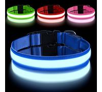 AUAUY Light Up Dog Collar, Type-C Port Charging LED Dog Collar Light, Waterproof Flashing Adjustable Glowing Super Bright Dog Light Up Collar with 3 Glowing Modes for Medium Dogs-Size M-Blue