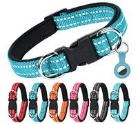 AUAUY Reflective Nylon Dog Collars, Double Security Adjustable Classic Pet Collars with Soft Neoprene Padding AirTag Case, Dual D-Ring Quick Release Buckle for Small Puppy, Medium Large Dogs(Blue-S)