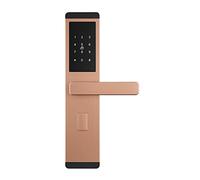 AUBEST Smart Door Lock, Mobile App Remote Apartment Code Lock B& Rental Room Intelligent Electronic Induction Anti-Theft Door Tongtong(C)
