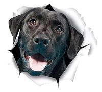 Aublinto 3D Dog Stickers 2 Pack Cute Black Labrador Retriever Stickers for Wall Fridge Toilet and More Black Labrador Decals