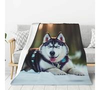 Aubnva Husky Dog Print Warm Blanket Couch Soft Blankets Thick Cozy Bedding Camping Traveling Living Room