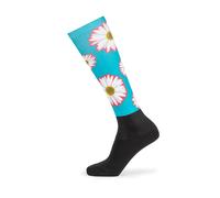 Aubrion Hyde Park Children's Riding Socks - Daisy