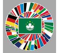 AUCEKO 105PCS Stickers for National Flag,World Flag Stickers,Teens Boys and Girls Sticker Pack Vinyl Skateboard Guitar Door Laptop Luggage Car Bike Water bottle Birthday Party Supplies Stickers