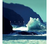 Auction For The Promise Club - Silence [VINYL]