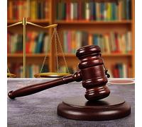 Auction Hammer Set Made of Wood, Judge Hammer and Resonance Block Hammer Premium Wooden Gavel, Perfect for Lawyers, Judges, Auction Sale Meetings, Companies, Students, Children Role Play and Gifts
