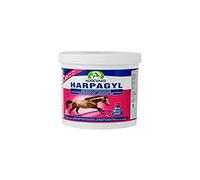 Audevard Harpagyl 900G