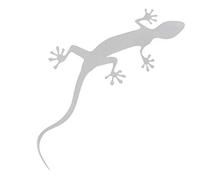 Audi 4L0064317Z7G Decorative Film Gecko Sticker Floretsilver