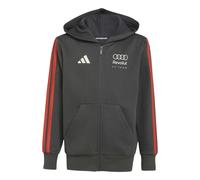 Audi kids' zip-up hoodie Formula One Team DNA Noir 15/16 ans