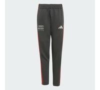 adidas Unisex Kids Audi Formula ONE Team DNA Pant, Utility Black, 15-16 Years