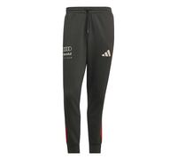 adidas Men's Audi Formula ONE Team DNA Pant, Utility Black, S