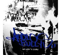 Audio Bullys - We Don't Care [12" VINYL]