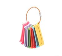 Audio Card Storage Holder, ABS Ring Loops 10-Piece Card Sleeve Set with Metal Strap Carrying Case For Accessibility(A)