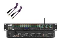 Audio Digital Equalizer, Professional Pre-Stage Effector with Bluetooth and USB, Anti-Howling Feature, Independent Microphone/Music/Reverberation Adjustment for Conferences and Events