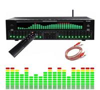 Audio Equalizer, 31-Band Graphic Equalizer with Bluetooth 5.4, Noise Reduction, and Double 10-Segment Independent Tuning for Stage, Concert, and Studio