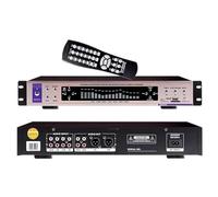 Audio Equalizer, Digital Audio Processor with Remote Control, 32 Spectrum Effects and 12 Rhythm Patterns, Bluetooth 5.0, Ideal for Studios and Lecture Halls
