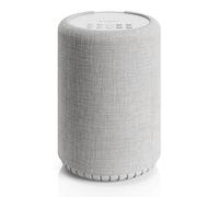 Audio Pro A10 MkII W Wireless Speaker - Light Grey