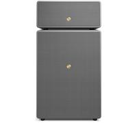 AUDIO PRO Drumfire II W Wireless Bluetooth Multi-room Speaker - Grey, Silver/Grey