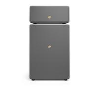 Audio Pro Drumfire II W Wireless Speaker - Grey