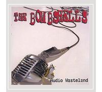 Audio Wasteland