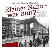 Audiobook CD Little Man, What Now? based on a novel by Hans Fallada 2 CDs