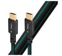 AudioQuest Forest USB C To C Cable 0.75m