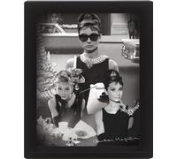 Audrey Hepburn Montage 3D Lenticular Poster, Multi-Colour, 10 x 8-Inch