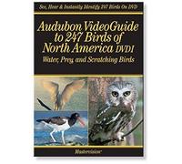Audubon 1: Video Guide 247 Birds of North America [DVD] [Region 1] [US Import] [NTSC]