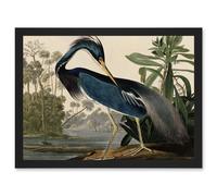 Audubon Birds Louisiana Blue Heron Painting A4 Artwork Framed Wall Art Print Artery8 Black One Size