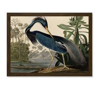 Audubon Birds Louisiana Blue Heron Painting A4 Artwork Framed Wall Art Print Artery8 Brown One Size