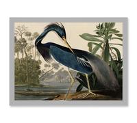 Audubon Birds Louisiana Blue Heron Painting A4 Artwork Framed Wall Art Print Artery8 Light Grey One Size
