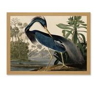 Audubon Birds Louisiana Blue Heron Painting A4 Artwork Framed Wall Art Print Artery8 Light Oak One Size