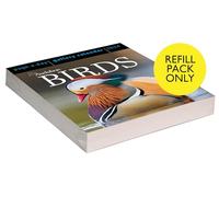 Audubon Birds Page-A-Day Gallery Calendar Refill Pack 2024