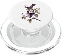 Audubon Cat Bird North American Birds Education Nature PopSockets PopGrip for MagSafe