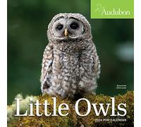 Audubon Little Owls Mini Wall Calendar 2024: A Year of Fluffy and Round Owls