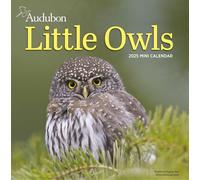 Audubon Little Owls Mini Wall Calendar 2025 by Workman Calendars Paperback Book