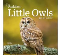 Audubon Little Owls Mini Wall Calendar 2026