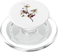 Audubon Painted Finch North American Birds Education Nature PopSockets PopGrip for MagSafe