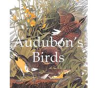 Audubon's Birds (Mega Squares)