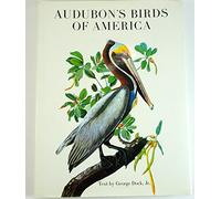 Audubons Birds of America