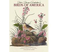 Audubons Birds Of America Deluxe Wall Su