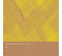 Audun Kleive - The Periphery of a Building [VINYL]