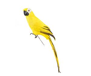 AUEAR, 17.7 Inch Yellow Lifelike Artificial Big Birds Feathered Fake Shoulder Parrot Decor Model for Decoration Craft