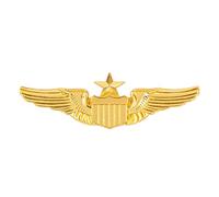 AUEAR, Metal Aviator Wings Pin Senior Pilot Wing Badge Gold, Metal