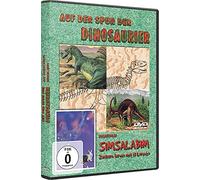Auf der Spur der Dinosaurier [Region Free]