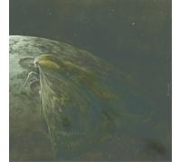 Augrimmer – Moth & the Moon – CD