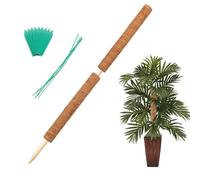Augshy 34 Inch Moss Pole, 2 Pack 19.5 Inch Moss Poles for Climbing Plants Monstera, Moss Sticks for Indoor Plant Support Plant Stakes for Indoor Climbing Plants Grow Upwards with Garden Ties
