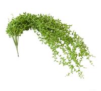 AugustknowU Artificial Wall Hanging String Of Tears Plastic Plant Decor For Home Decor Studio Setup And Event Backdrop Application